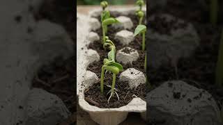 #kreatif #tutorial #ai #pertanian #editanai