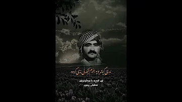 حه مه جه زا محمد جزا Short Shorts محمد جزا 