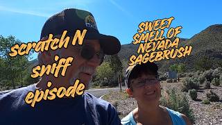 Why This Nevada Lake Campground BEATS Expensive Resorts #rvlife