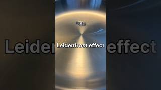 लीडेनफ्रॉस्ट प्रभाव (Leidenfrost Effect)                       #science #physics
