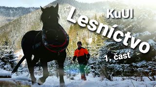 LESNÍCTVO by KuUL wildlife - Tomáš Kučera 81,570 views 3 years ago 26 minutes