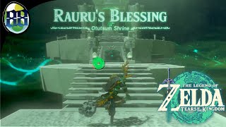 Zelda TOTK [88]: Rauru's Blessings Galore