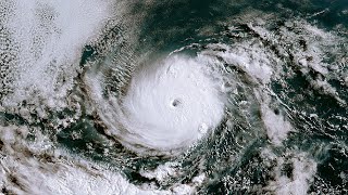 Major Hurricane Darby (Category 3) - Last 6 Hours Satellite Loop #Shorts