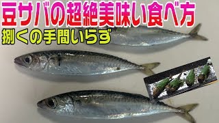 リリースしてた豆サバがマジで美味すぎる ビールのつまみに最強のサバ料理 釣り人必見 Youtube