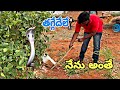 Indian spectacled venomous cobra snake rescue  handri gonegandla  polam lo 9966333589 whatsapp