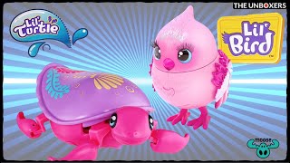 Little Live Pets Lil Turtle & Lil Bird by Moose Toys