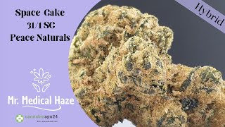 Med. C. 🥦 Sorten Review Space Cake 31/1 SC von Peace Naturals (4K)