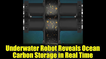 Underwater Robot Reveals Ocean Carbon Storage in Real Time