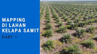 Waahh Ternyata Begini Cara Mapping Di Kebun Kelapa Sawit. Part 1