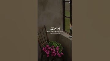 قرآن كريم #اللهم_صل_على_محمد_وال_محمد #اكسبلور #اكسبلور_explore #قران