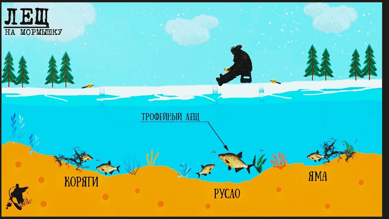 ЛЕЩ на мормышку. ЗНАЙ и лови МНОГО🔥🎣 #рыбалка #лещ #зимняярыбалка