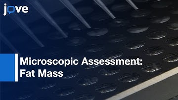 Biochemical & Microscopic Assessment Of Fat Mass in C. Elegans