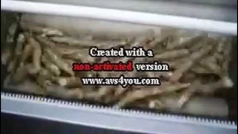 Máy rửa củ quả dạng con lăn bàn chải , máy rửa khoai tây, khoai mỳ, cà rốt, củ cảii