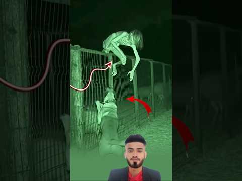 لو ح الشبح بجسده الشفاف نحو الكلب لكن الكلب ثبت مكانه اكسبلور لايك دويتو  