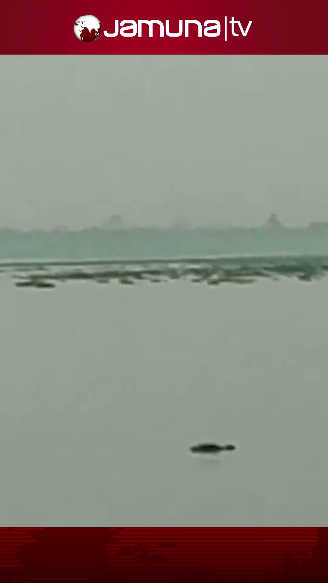 মাদারীপুরে আড়িয়াল খাঁ নদে দেখা মিললো কুমিরের #alligators #madaripur #jamunatv