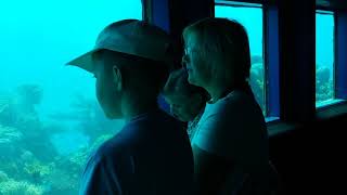 Эйлат  подводная обсерватория
