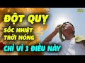 Bác Sĩ Cảnh Báo TRỜI NÓNG NHỚ KỸ 3 THỨ NÀY Kẻo Kiệt Sức, Đột Quỵ Do Sốc Nhiệt Ập Đến