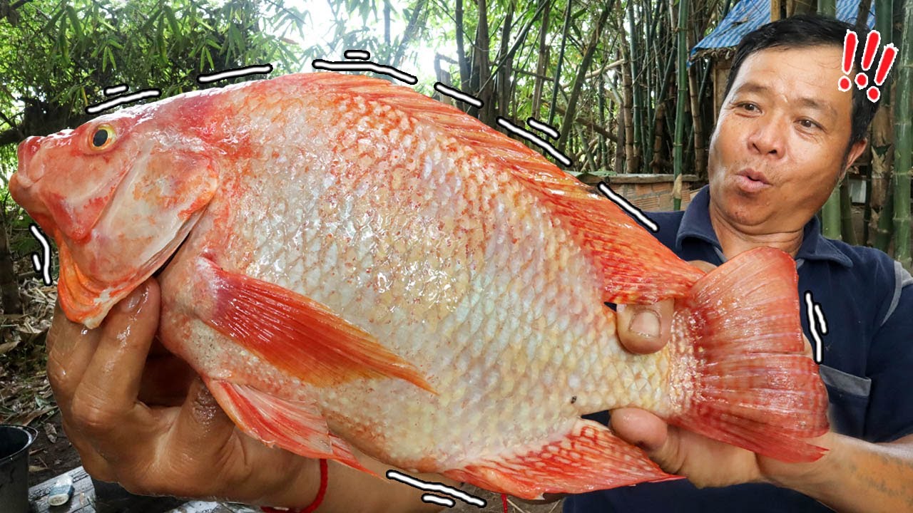 ทำอาหารในป่า เมนูต้มส้ม ปลาทับทิมยักษ์ ปลาตัวใหญ่มาก!! l ครัวป่าไผ่ SAN CE | ข้อมูลทั้งหมดเกี่ยวกับอาหาร ที่ ทํา จาก ปลาเพิ่งได้รับการอัปเดต