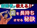 この歯、治したら何年もつの？【平均耐用年数と歯の長持ちの秘訣】