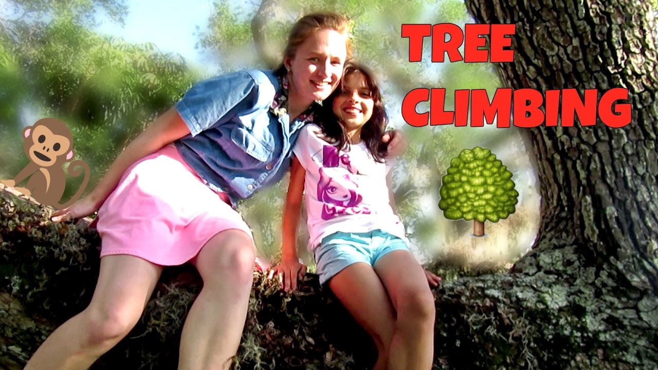 TREE CLIMBING YouTube