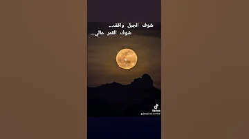 شوف الجبل واقف ولا هزته ريح حسين الجسمي 