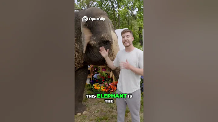 Paint Off Challenge  Can an Elephant Beat a Comedian #moments #funny