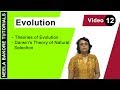 Evolution - Theories of Evolution - Darwin's Theory of Natural Selection