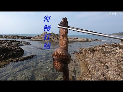 【卷卷声乐老师】歌曲《像鱼》卷卷老师教唱（难度1 5星）