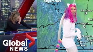 Halloween 2019: News anchors in tears as meteorologist shows up in mystical unicorn costume