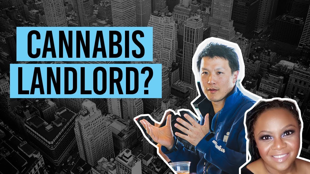 Passive Income In Cannabis? How To Unlock Massive Profits From R.E.I.T.S!