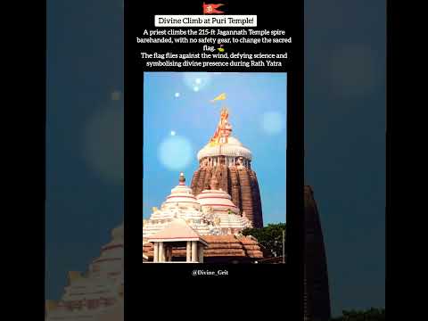 Puri Temple Priest Climbs 215 Ft Daily No Safety, Only Faith! #youtubeshorts #rathyatra