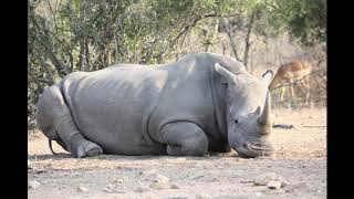 Kruger National Park Sept 2017