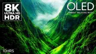 10 HOURS of Mesmerizing Visuals + Music | 16K HDR 120fps (8K HDR 60fps)