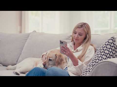Family Pet Health - A PetDesk Customer Success Story - video from PetDesk
