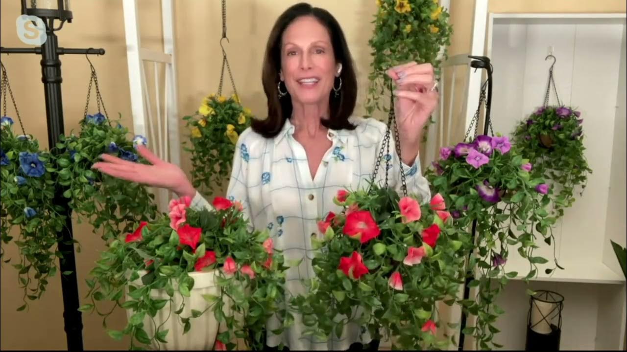 Garden Reflections Set of (2) 10" Morning Glory Hanging Baskets on QVC