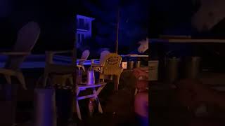 Anzel Cantando La Tóxica