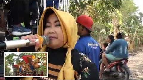JURAGAN EMPANG REGGE SINGA DANGDUT PA