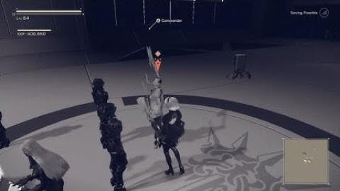 NieR Automata weird glitch