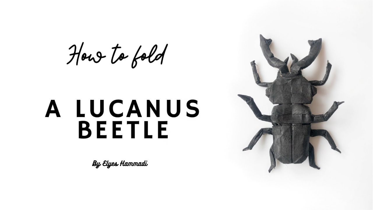 Tutorial Origami Stag Beetle/ Tutoriel Origami Lucane Cerf Volant Par ...