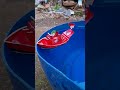 ASMR kapal boat #shorts