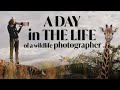 A Day in the Life of a Wildlife Photographer | In the Field with Donal Boyd