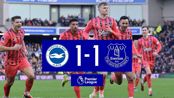 BRIGHTON 1-1 EVERTON | Premier League highlights