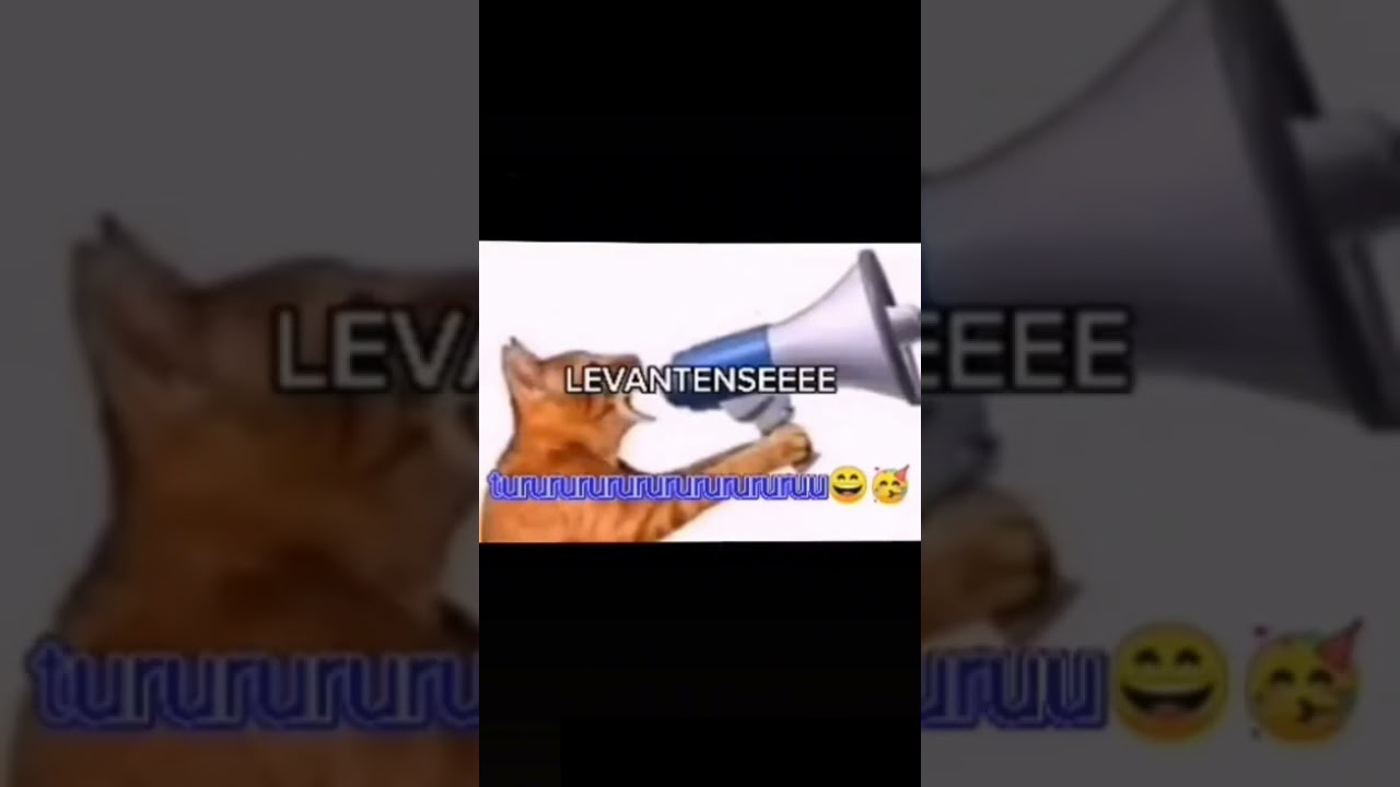 LEVANTESEEEE🗣#Cat