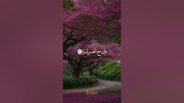 Surah Ash-Sharh - 1-8  #اكسبلور  /  سورة الشرح