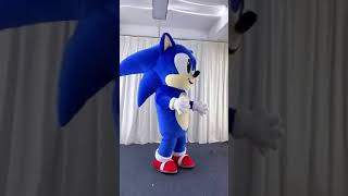 Fun sonic inflatable Mascots Costume Suit Birthday Party Fancy Dress