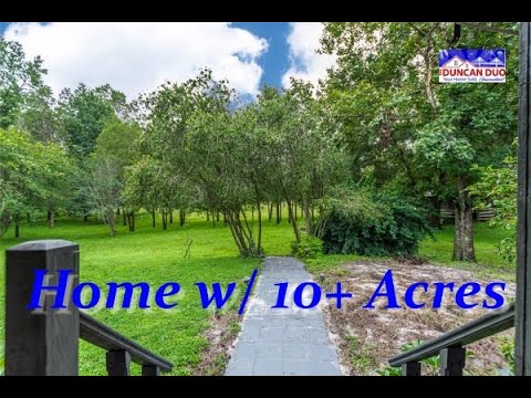 17200 PALOMINO LAKE DRIVE, Dade City, FL home video tour