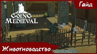 Going Medieval - Гайд - Животноводство