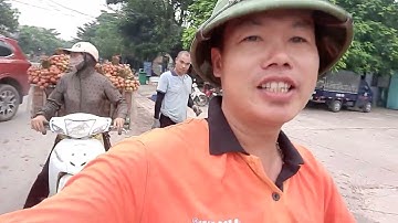 GIÁ VẢI MỚI NHẤT HÔM NAY TẠI BIỂN ĐỘNG LỤC NGẠN BẮC GIANG