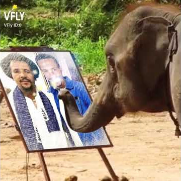 Yosan Getahun - 3Obsa - New Ethiopian Oromo Music 2021( Video)