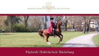 Flashride Fürstliche Hofreitschule Bückeburg